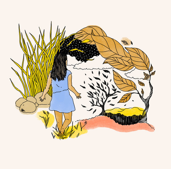 Landscape 556 xxx q85