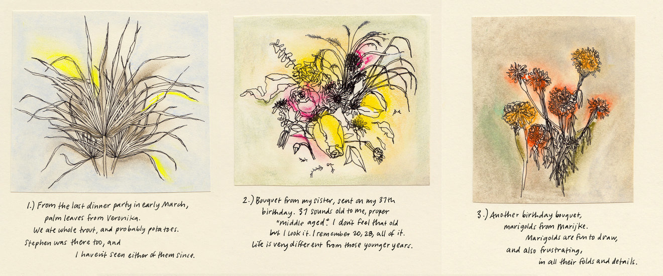 Pandemic flowers composite 1 1320 xxx q85