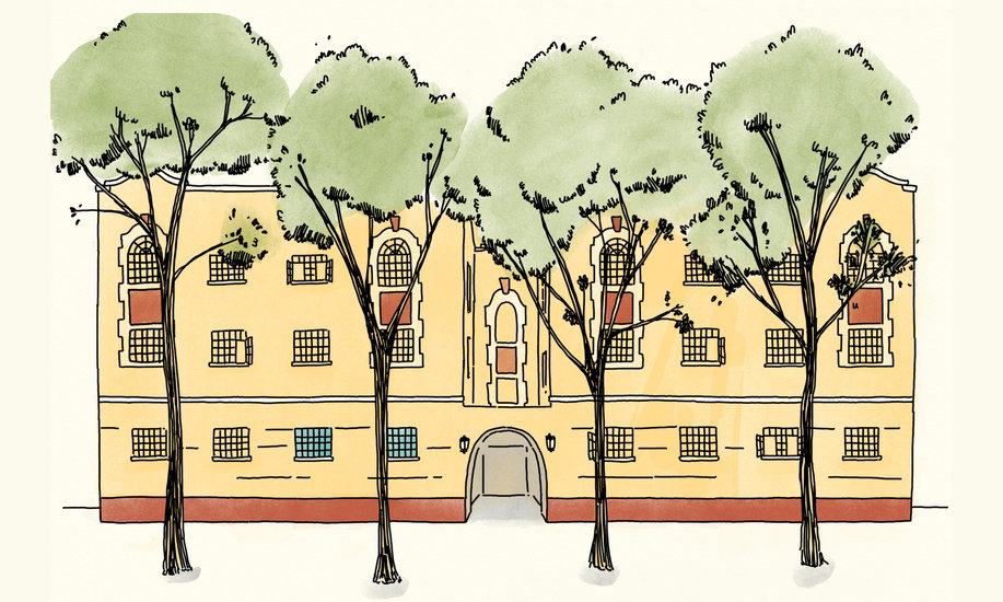 Sb se belmont 02 building trees 917 xxx q85