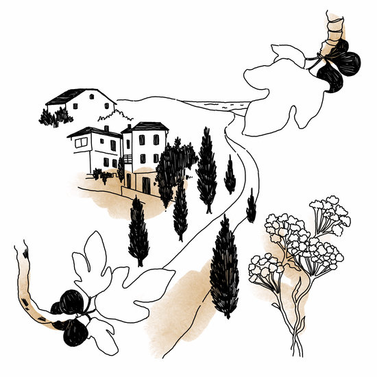 Tl milies 02 550 xxx q85