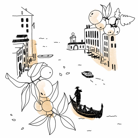 Tl venice 02 550 xxx q85