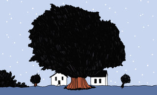 Tree 320 0x247x2551x1555 q85