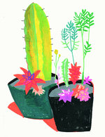Cactus 150 223x0x1538x1999 q85