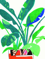 Plant 150 0x50x1463x1903 q85
