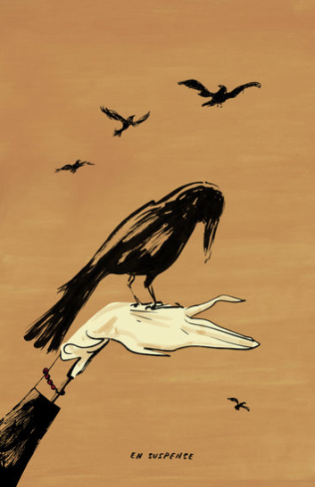 Andreaferolla19 356 xxx q85