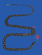 11 150 0x18x1998x2597 q85