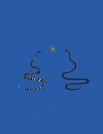 15 150 0x18x1998x2597 q85