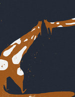 13 150 0x28x1499x1948 q85