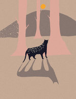 12 150 0x28x1499x1948 q85