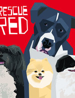 Rescue red 150 173x0x1153x1499 q85