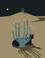 Desierto espejo 150 0x133x1332x1733 q85