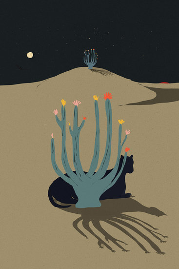 Desierto espejo 367 xxx q85