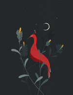 Redbird 150 0x133x1332x1733 q85