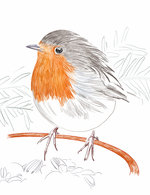 Rougegorge 150 225x0x3150x4095 q85