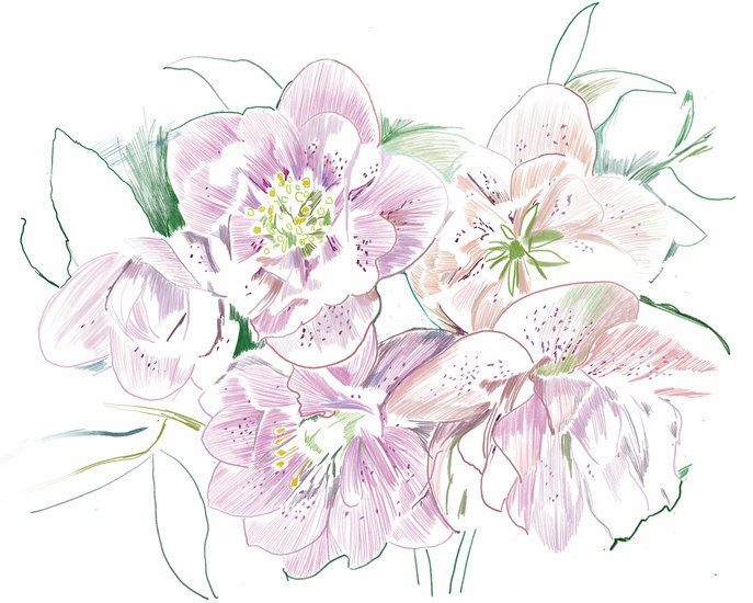 Couverture 687 xxx q85