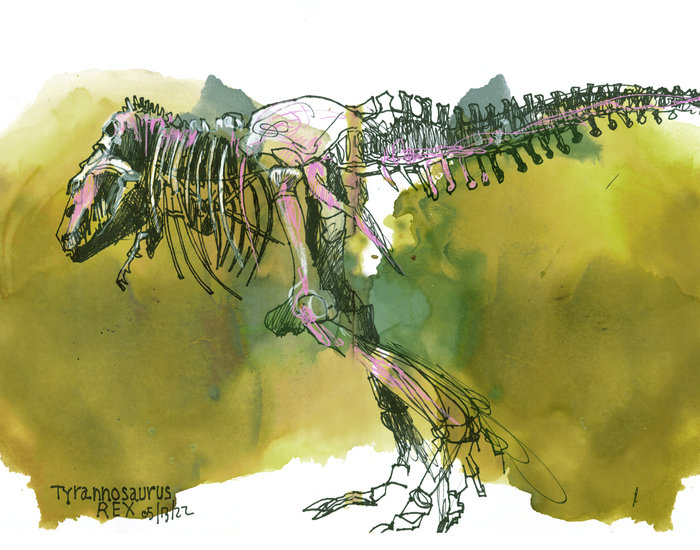 Trexmuse300 700 xxx q85