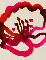 Rose 2 150 0x136x1499x1951 q85