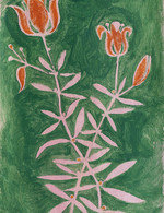 Lily 150 0x122x1350x1755 q85