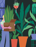 Ben wiseman   ft how to spend it   plants 150 406x0x1192x1549 q85