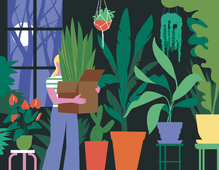 Ben wiseman   ft how to spend it   plants 710 xxx q85