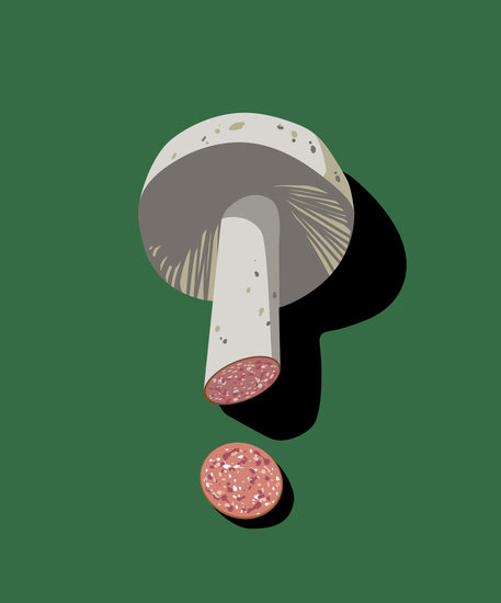 Ben wiseman   meat substitues 457 xxx q85