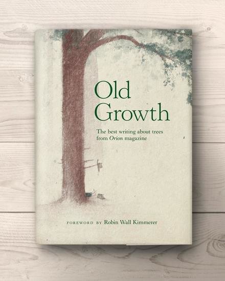 Cover min 440 xxx q85