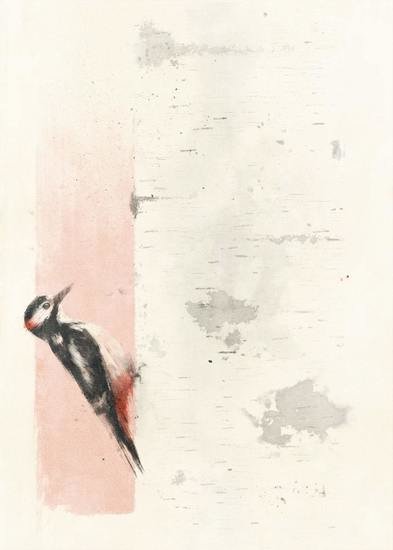 Klar stor 2 2 min 393 xxx q85