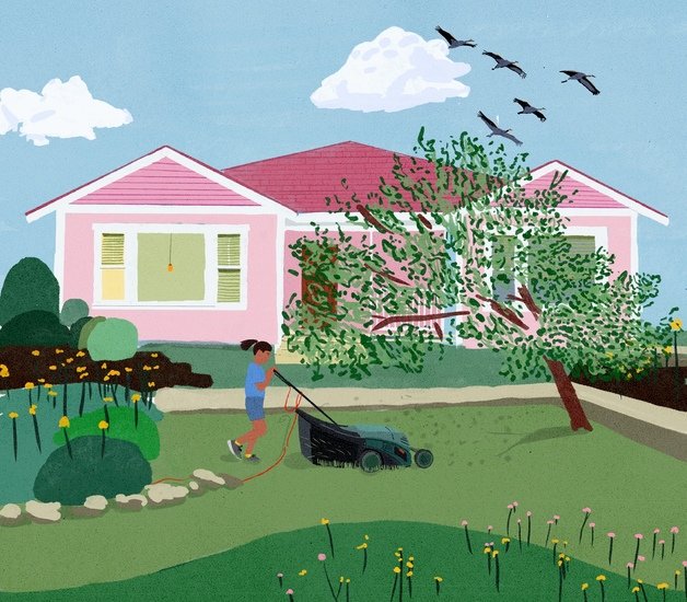 Front lawn 628 xxx q85