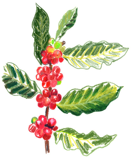 Chanel x regain 2020cafe copy 480 xxx q85