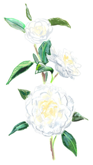 Chanel x regain 2020camelia copy 311 xxx q85