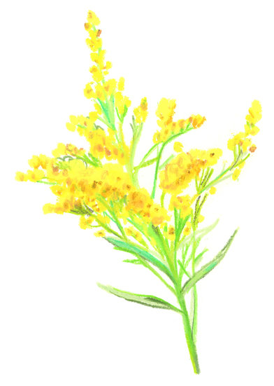 Chanel x regain 2020solidage copy 392 xxx q85