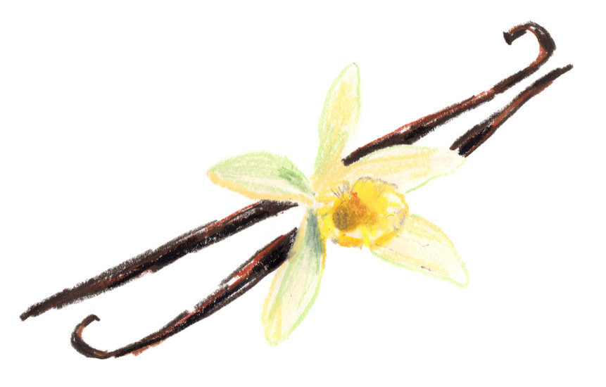 Chanel x regain 2020vanille copy 861 xxx q85