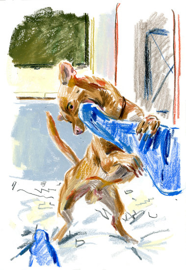 200830 copy 379 xxx q85