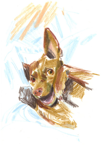 201030 copy 391 xxx q85