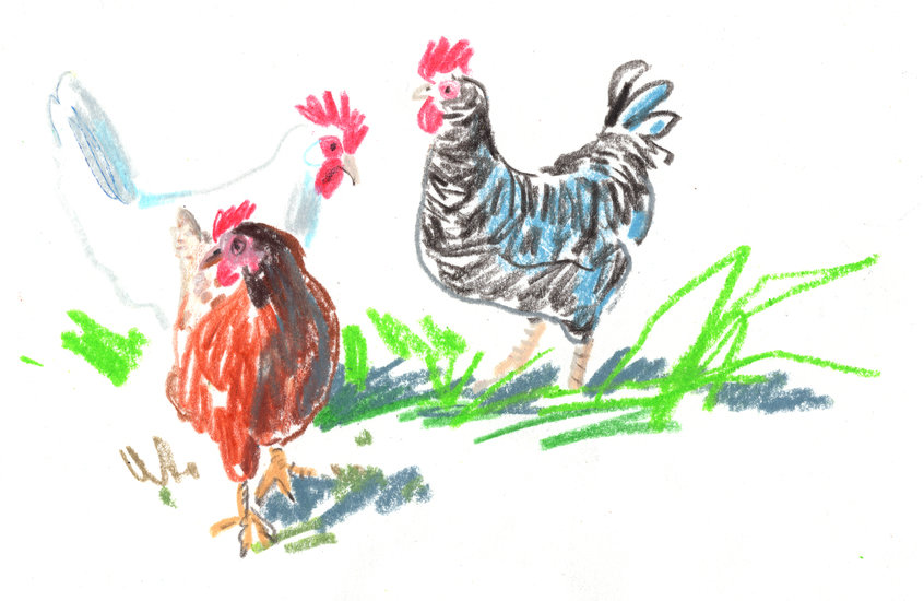 Coburgclean 3greening 1chickens copy 846 xxx q85