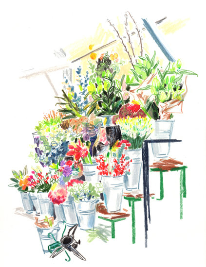 211127 copy 423 xxx q85