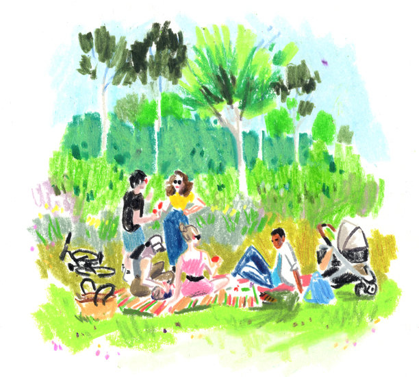 Coburgclean 3greening 6biodiversefootpaths copy 612 xxx q85