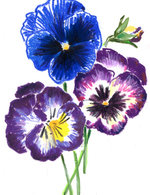 Regain p1 copy 150 0x104x1448x1882 q85