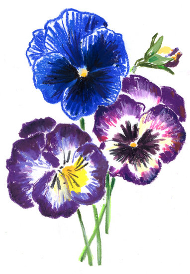 Regain p1 copy 382 xxx q85