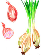 Regain p5 copy 150 0x20x836x1088 q85