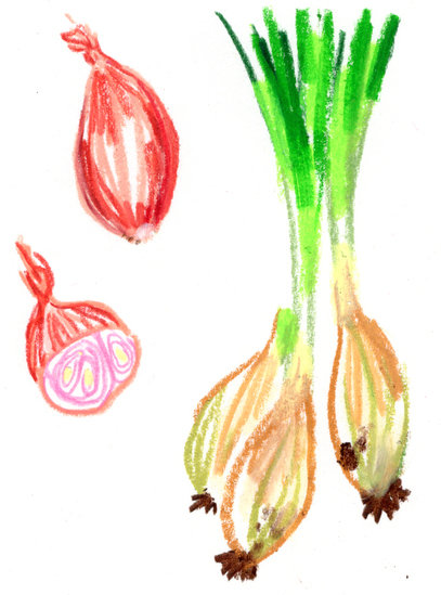 Regain p5 copy 407 xxx q85