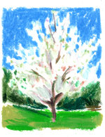 Regain p10 copy 150 14x0x613x797 q85