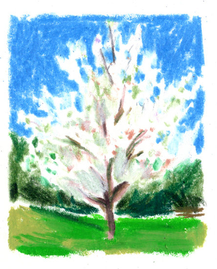 Regain p10 copy 444 xxx q85