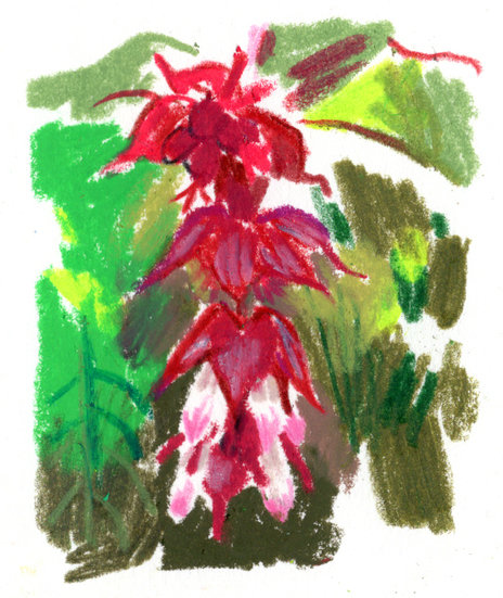 Regain p11 2 copy 464 xxx q85