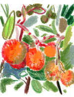 Regain p11 1 copy 150 34x0x579x753 q85