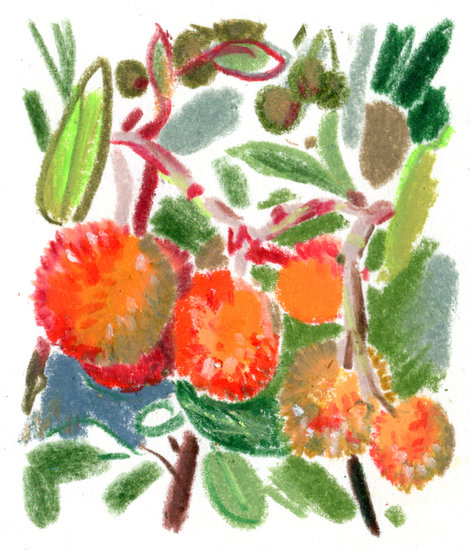 Regain p11 1 copy 471 xxx q85