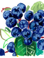 Regain p12 1 copy 150 29x0x566x736 q85