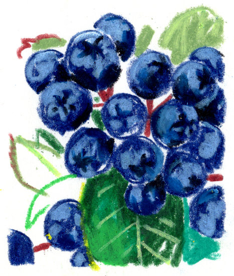 Regain p12 1 copy 467 xxx q85