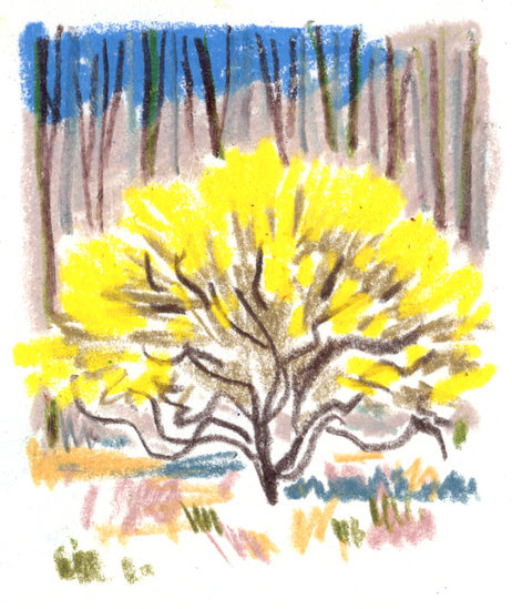 Regain p12 2 copy 462 xxx q85