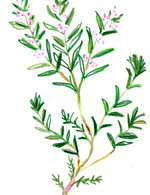 Regain p15 copy 150 0x160x1226x1594 q85